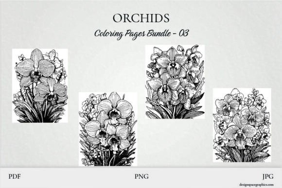 Download Printable Orchid Flower Coloring Pages - Printable Collection